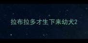 拉布拉多才生下来幼犬