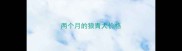 两个月的狼青犬价格