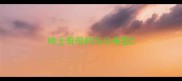 哈士奇母的与公身型