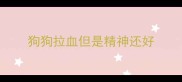 狗狗拉血但是精神还好