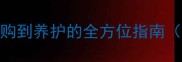 奶白色拉布拉多犬从选购到养护的全方位指南附性格特点与训练技巧