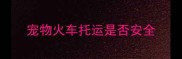 宠物火车托运是否安全