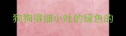 狗狗得细小吐的绿色的