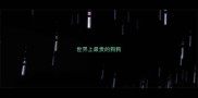 世界上最贵的狗狗