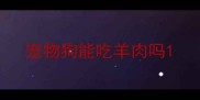 宠物狗能吃羊肉吗