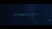 金毛胸脯毛太长了