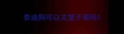 泰迪狗可以关笼子里吗