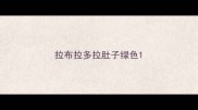 拉布拉多拉肚子绿色