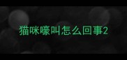 猫咪嚎叫怎么回事