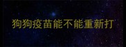 狗狗疫苗能不能重新打