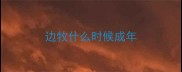 边牧什么时候成年