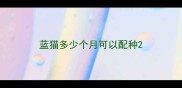 蓝猫多少个月可以配种