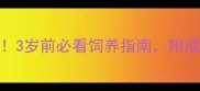 拉布拉多成年标准全3岁前必看饲养指南附成长时间轴和饲养技巧
