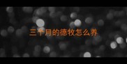三个月的德牧怎么养