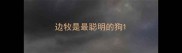 边牧是最聪明的狗