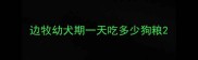 边牧幼犬期一天吃多少狗粮