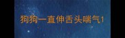 狗狗一直伸舌头喘气