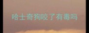 哈士奇狗咬了有毒吗