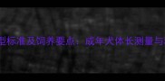 拉布拉多犬体型标准及饲养要点成年犬体长测量与科学养护指南