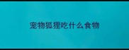 宠物狐狸吃什么食物