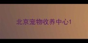北京宠物收养中心