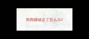 狗狗蹭破皮了怎么办