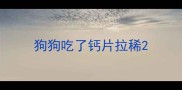 狗狗吃了钙片拉稀