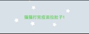 猫猫打完疫苗拉肚子