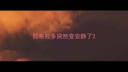 拉布拉多突然变安静了