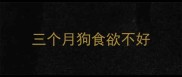 三个月狗食欲不好