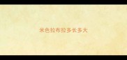 米色拉布拉多长多大