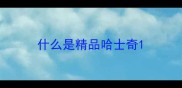 什么是精品哈士奇