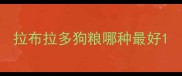拉布拉多狗粮哪种最好