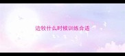 边牧什么时候训练合适