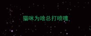 猫咪为啥总打喷嚏
