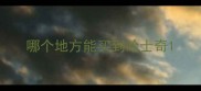 哪个地方能买到哈士奇
