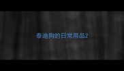 泰迪狗的日常用品