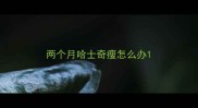两个月哈士奇瘦怎么办