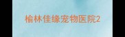 榆林佳缘宠物医院