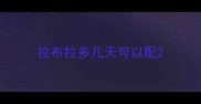拉布拉多几天可以配