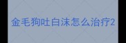 金毛狗吐白沫怎么治疗