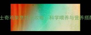 一岁哈士奇鸡架烹饪全攻略科学喂养与营养搭配指南