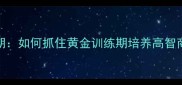 哈士奇幼犬3个月认主期如何抓住黄金训练期培养高智商伙伴宠物家长必看指南