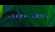 人能和猫咪一起睡觉吗