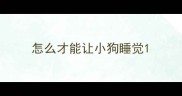 怎么才能让小狗睡觉