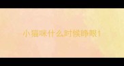 小猫咪什么时候睁眼