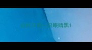 边牧只有一只眼睛黑
