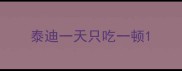 泰迪一天只吃一顿