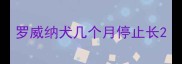 罗威纳犬几个月停止长