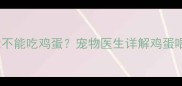 20天幼犬能不能吃鸡蛋宠物医生详解鸡蛋喂养全指南